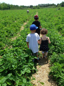 Screen Shot 2015-08-03 at 12.12.56 PM